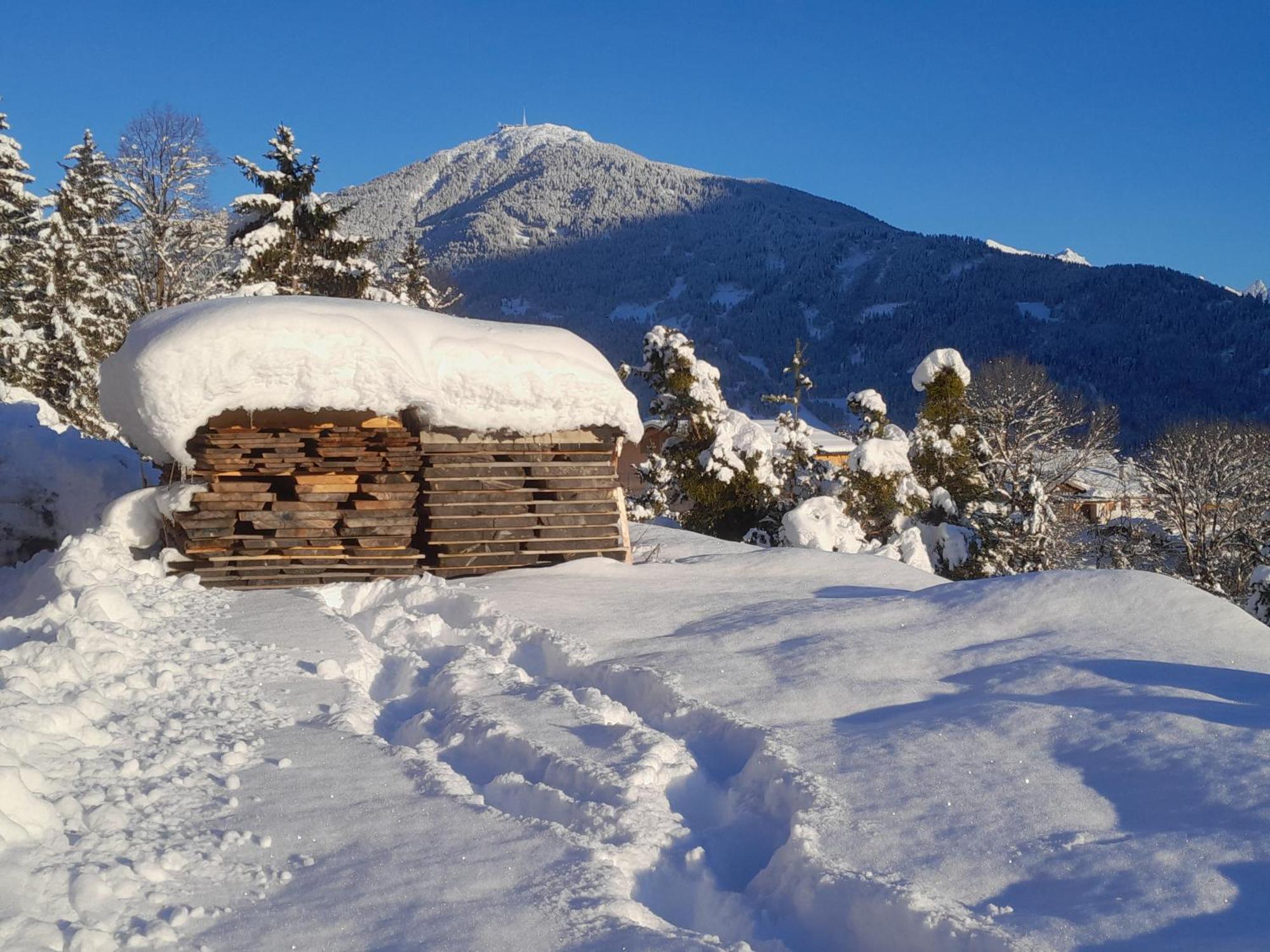 Haus Hotz Apart Talblick Grins Buitenkant foto